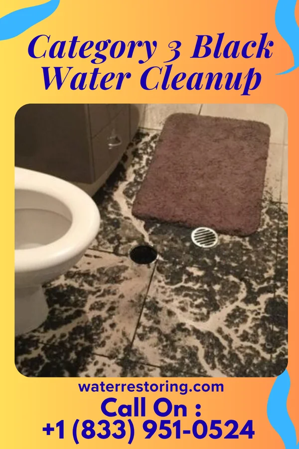 Category 3 Black Water Cleanup in Peever Flats, SD