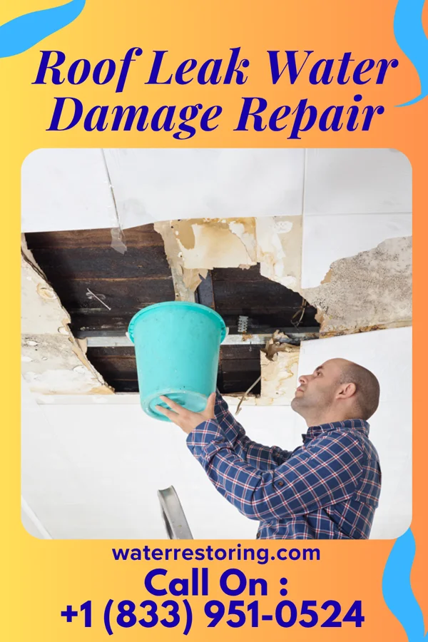 Roof Leak Water Damage Repair in Peever Flats, SD