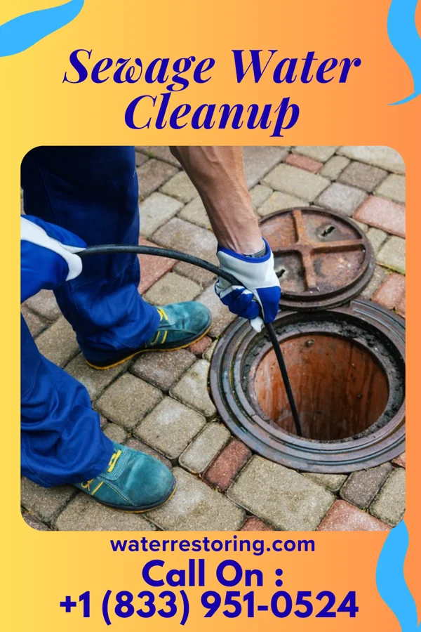 Sewage Water Cleanup in Peever Flats, SD